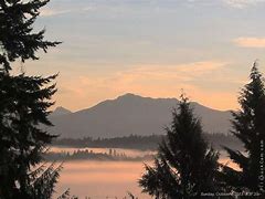 Deliver Working Copies in Central Everett, Everett, WA