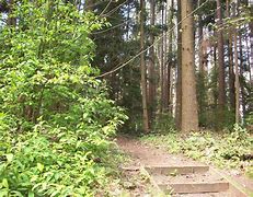 Commissioners Copies in South Forest Park, Everett, WA