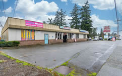 Process Server Everett levy